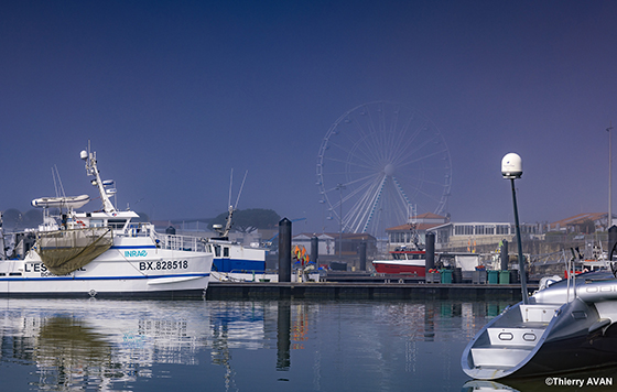 copyright THIERRY AVAN PLAISANCE | Port de Royan