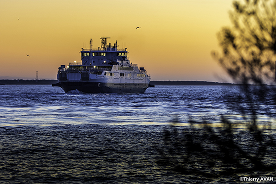 copyright THIERRY AVAN PLAISANCE | Port de Royan