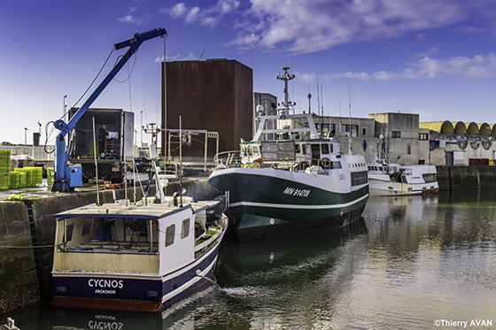 copyright THIERRY AVAN PLAISANCE | Port de Royan