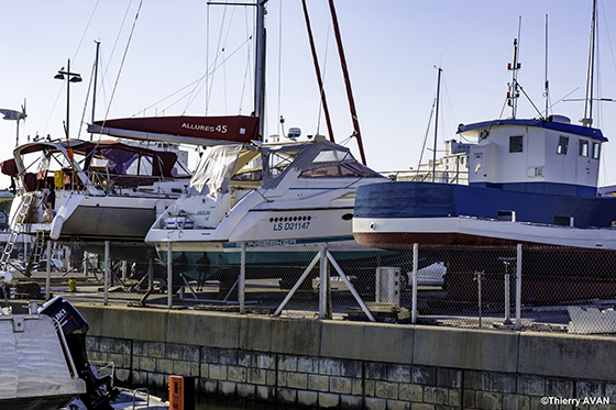 copyright THIERRY AVAN PLAISANCE | Port de Royan