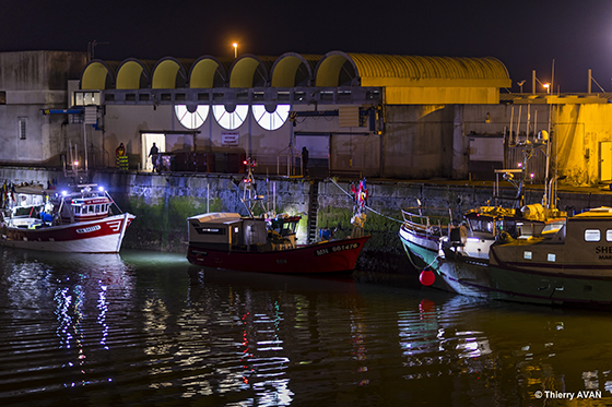 copyright THIERRY AVAN Port de pêche | Port de Royan