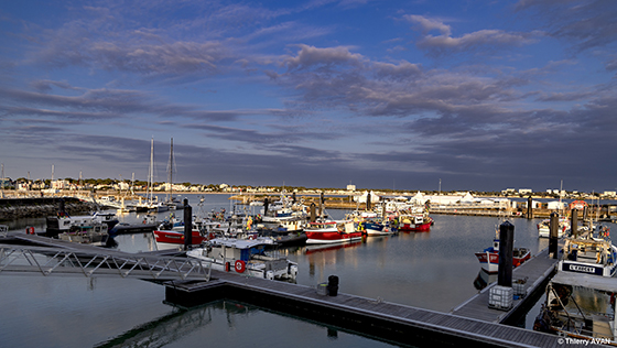 copyright THIERRY AVAN Port de pêche | Port de Royan