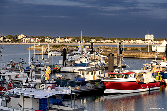 copyright THIERRY AVAN Port de pêche | Port de Royan