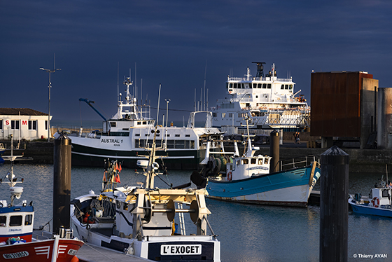 copyright THIERRY AVAN Port de pêche | Port de Royan