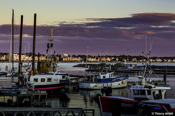 copyright THIERRY AVAN Port de pêche | Port de Royan