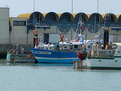 Port de Royan : Plaisance, Pêche et Criée