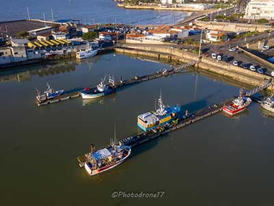 Port de Royan : Plaisance, Pêche et Criée