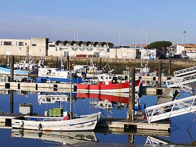 Port de Royan : Plaisance, Pêche et Criée