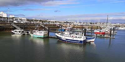 Port de Royan : Plaisance, Pêche et Criée