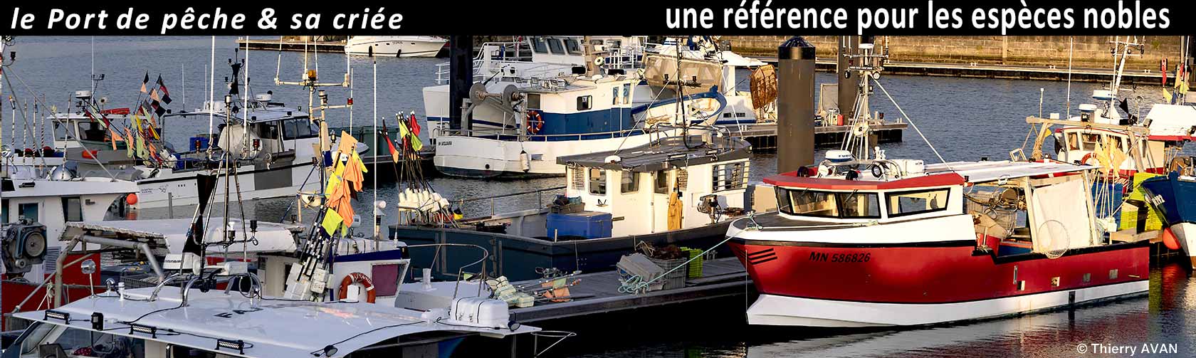 port de plaisance royan